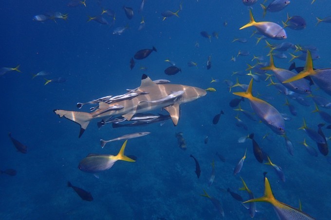 端午来这个绝美海岛,端午海岛游