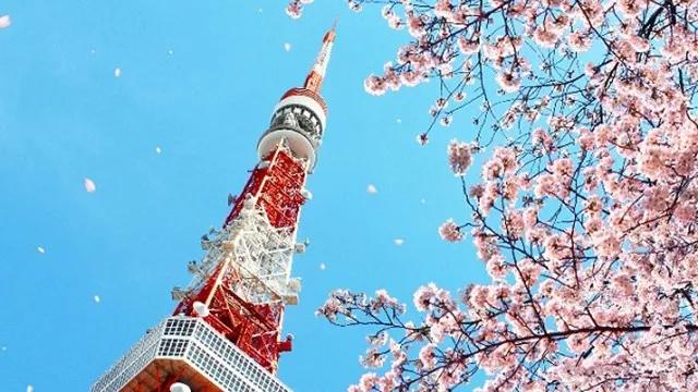 世界杯32强巡礼之法国,世界杯32强巡礼之威尔士五虎