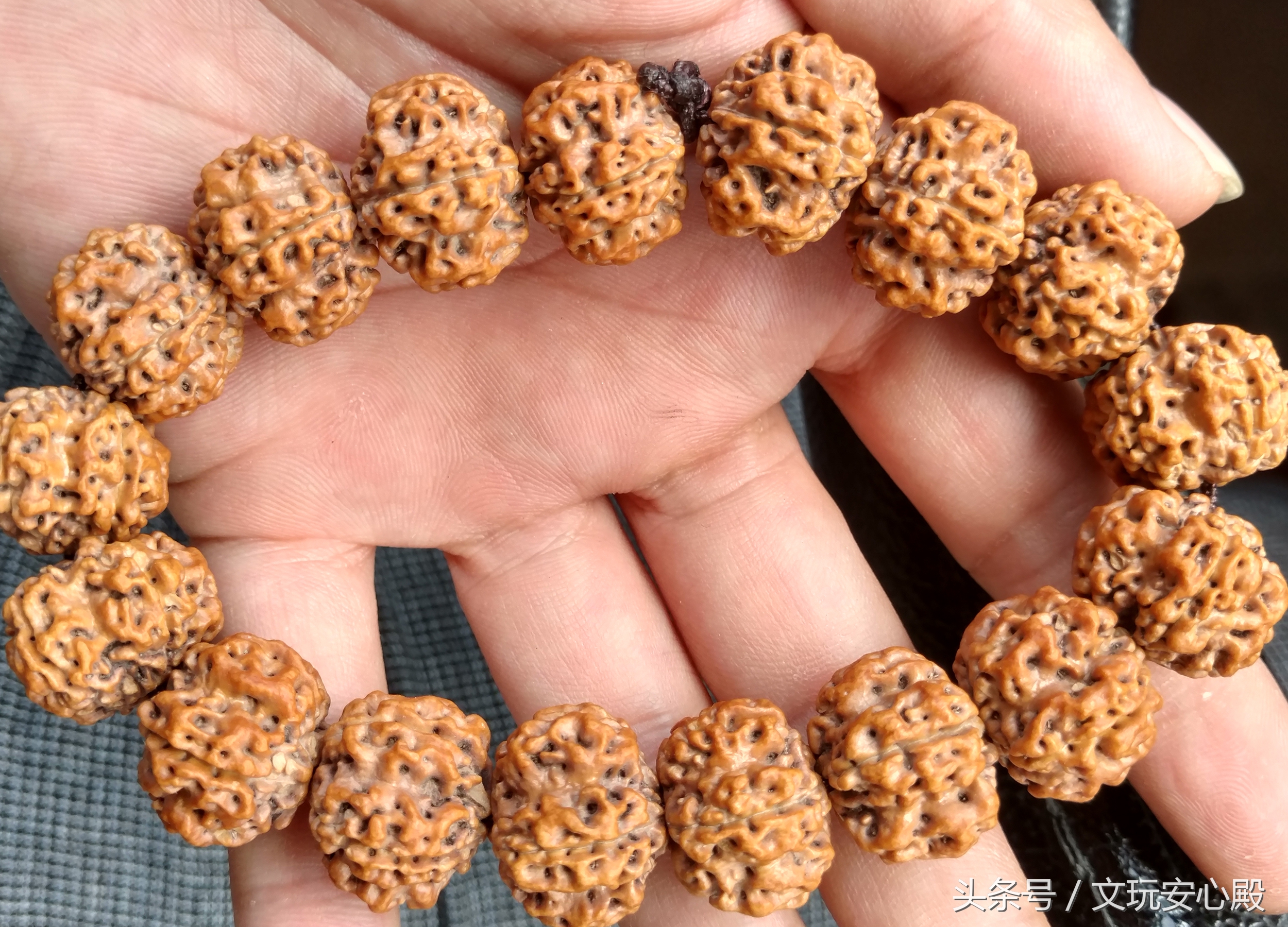 金刚菩提正确的盘玩方式,金刚菩提一年四季的盘玩效果