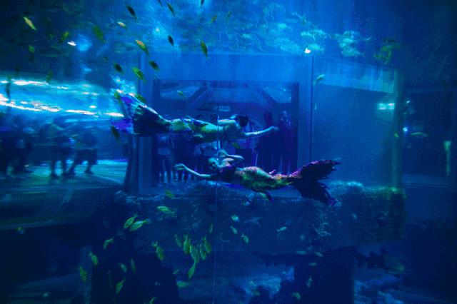 不用计划了！大连人的这个端午，看着这条微信过就行！