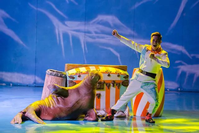 不用计划了！大连人的这个端午，看着这条微信过就行！