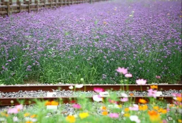 义乌游玩好去处义乌海洋世界,义乌五一亲子游推荐水上乐园