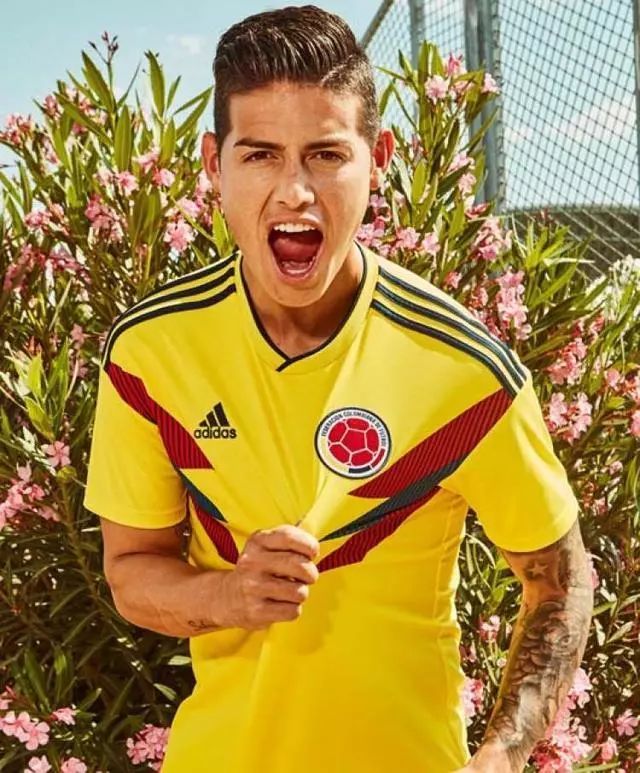 世界杯球衣相片,世界杯历届最好看的球衣