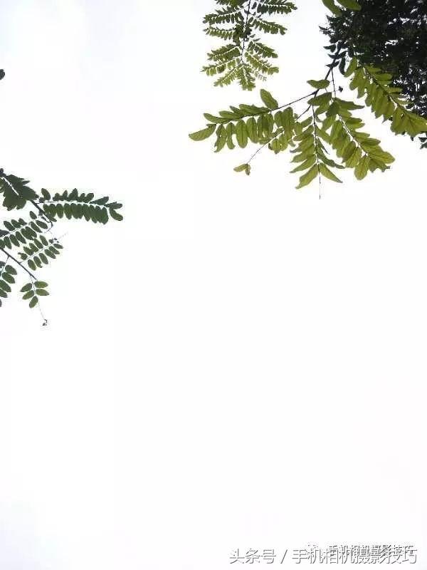 这几个拍照技巧人尽皆知了,这些拍照技巧你学会了吗