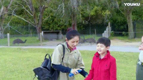 儿宝健驱蚊液 (哪家驱蚊液效果好用)