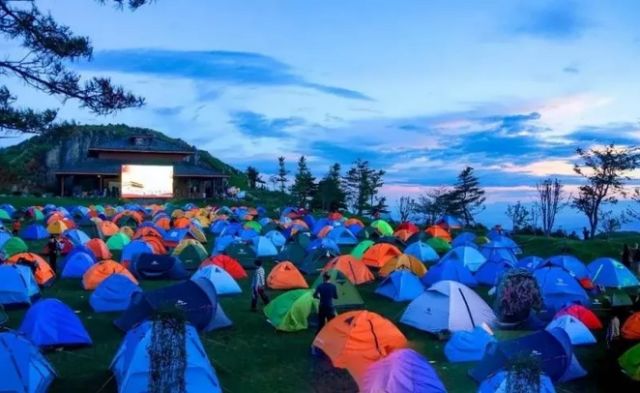 父亲节的特别旅行,父亲节带父亲一起出游