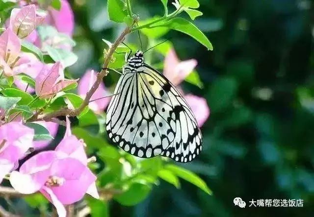 大连自驾游的游记,大连近郊游自驾推荐