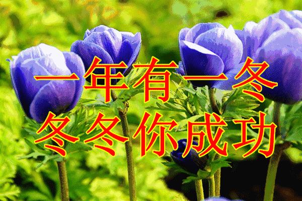 父亲节祝天下的父亲安康吉祥,父亲节愿天下的父亲平安