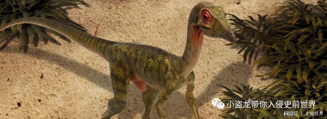 侏罗纪世界2一口气看完解说,《侏罗纪世界2》所有恐龙的名字