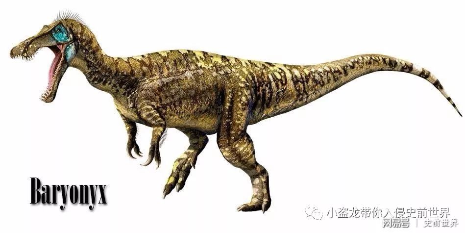 侏罗纪世界2一口气看完解说,《侏罗纪世界2》所有恐龙的名字