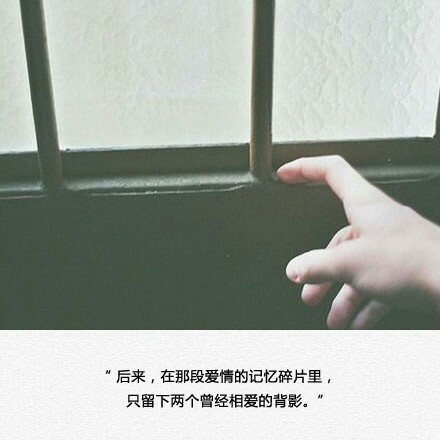 抖音感悟人生经典语录感恩,林徽因的经典语录抖音短视频