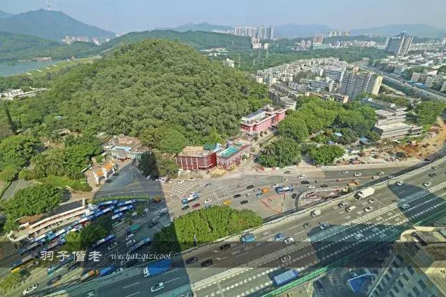 深圳这家酒店很有特色,深圳世界杯酒店