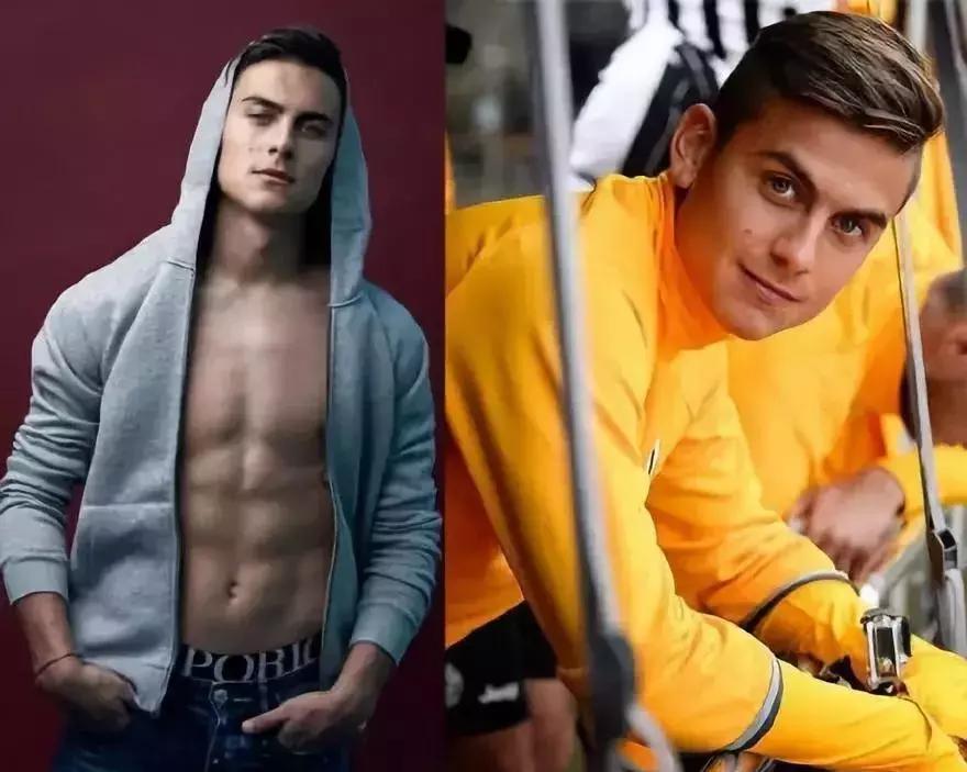 世界杯肉肉的仙人球,世界杯金肉肉