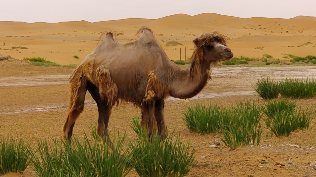 terra150adv全新车,terra150adv老款