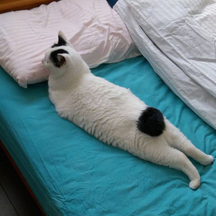 男生邀请奶奶走毕业红毯:她从小照顾我,最辛苦功劳最大