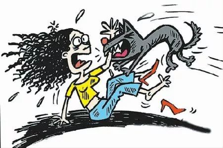 新余狂犬病,江西有狂犬病案例吗