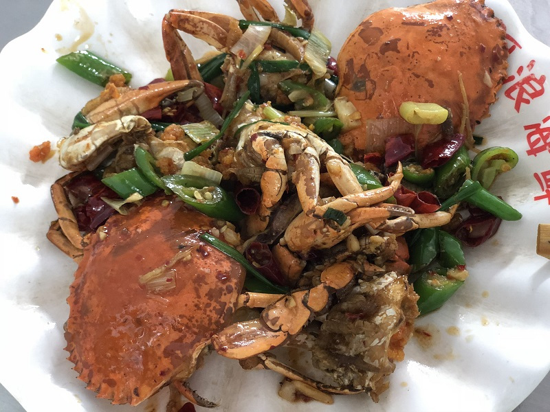 一个人的旅行真的有意义吗,旅行的意义和不期而遇的相遇