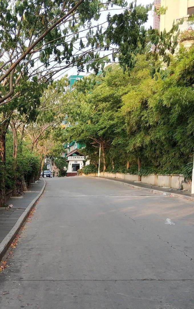 旅行结婚,结婚旅行适合去哪