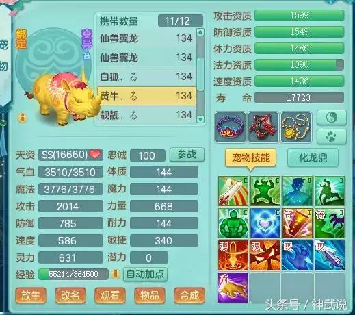 神武仙兽翼龙5技能多少钱,神武3龙宫攻略