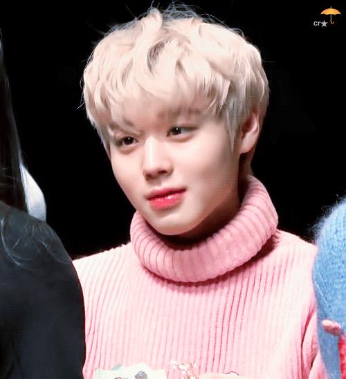 朴志训看到粉丝的应援,pann热议