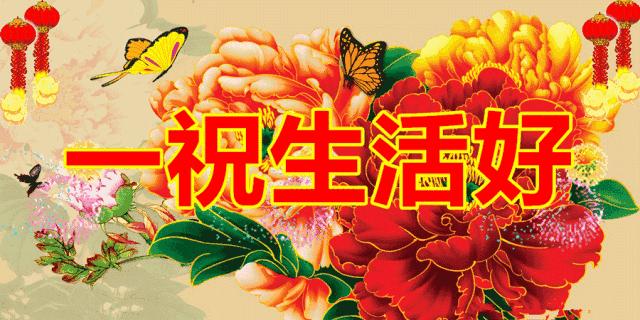 端午节问候网红视频,端午节问候视频