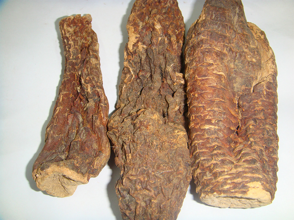 苍术肉苁蓉功效,肉苁蓉对男人的功效与作用