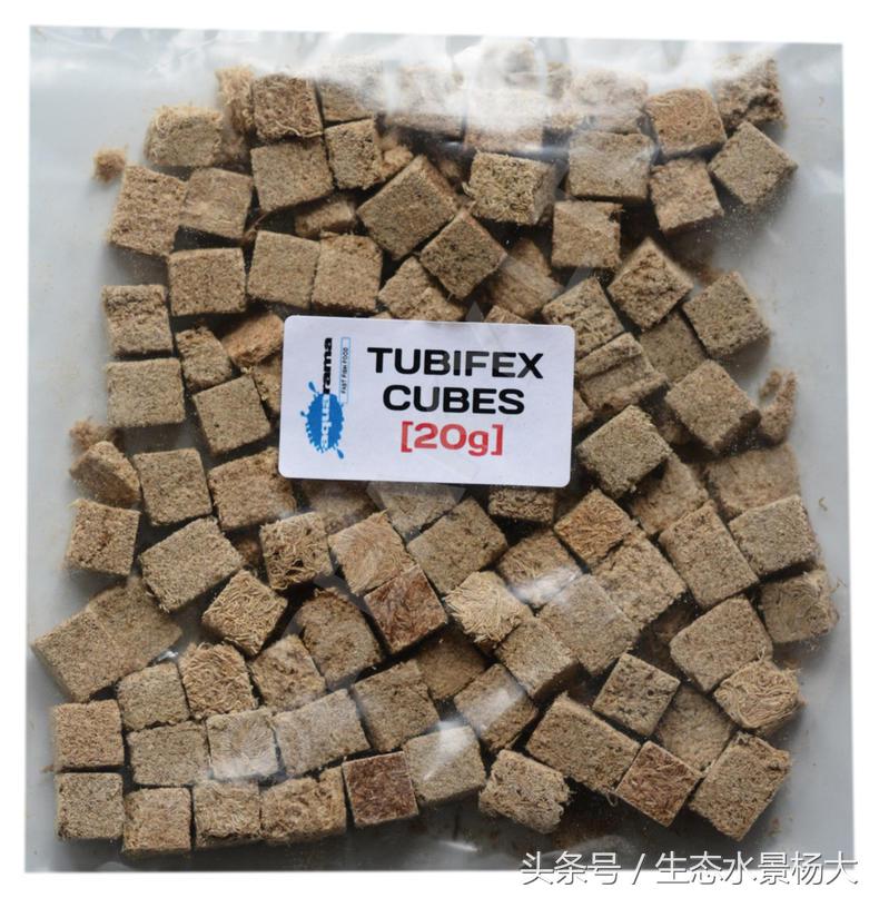 冷冻红虫靠谱吗,冷冻红虫的正确使用方法