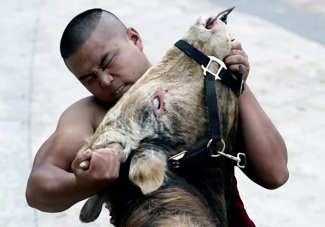 无辜的端午节，武术人士约架为何要挑端午节？