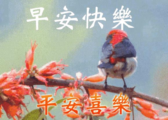 每天朋友圈早安问候语,情人节早安问候语朋友圈