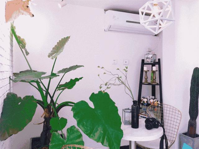 成都文艺的巷子,成都比较文艺的地方