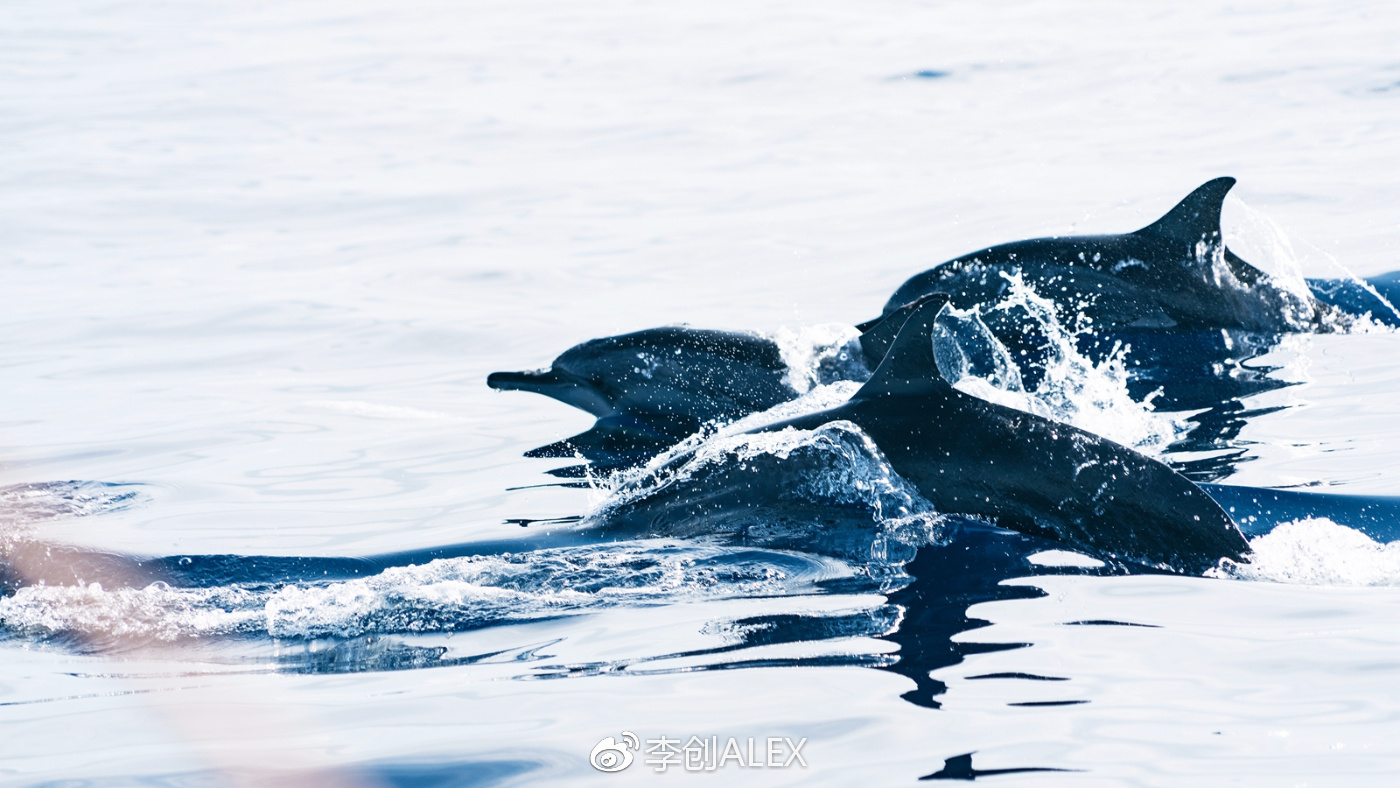 飞宿务直航城市,宿务到内地的直航航班