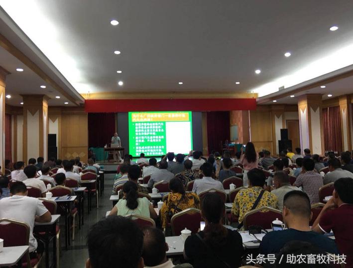 快速解决你养殖场的环保问题,低成本养殖场粪便处理