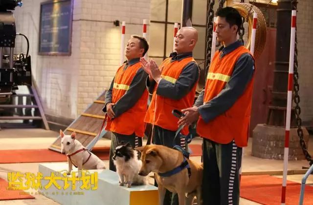 神奇女侠死侍黑亚当联合主演新片,杰森斯坦森与神奇女侠新片