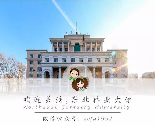 选课中心未查到数据,体育选课一份贴心的选课指南