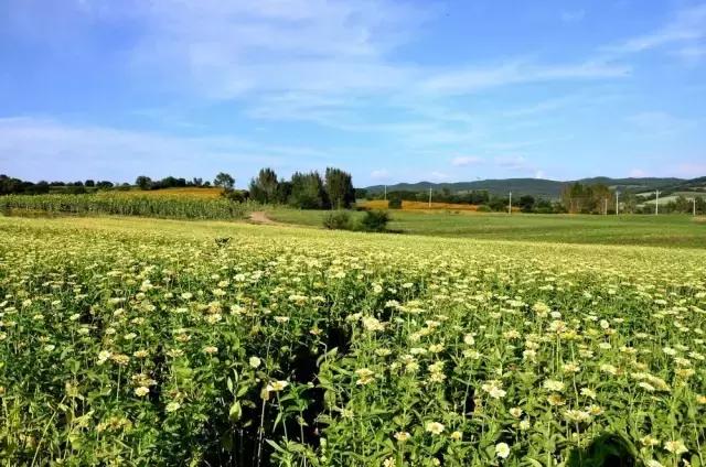 避暑攻略｜长春周边最美的8座山，最远不超过2小时，一起去登高！