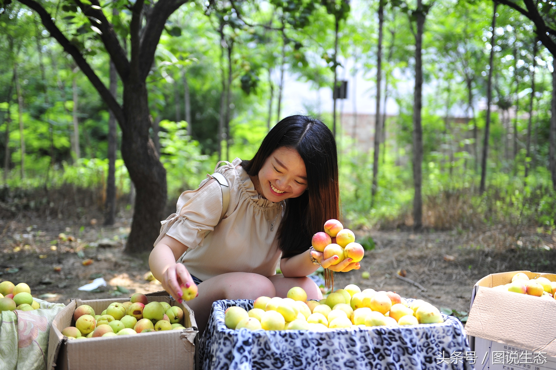 父亲节这天过得真快乐,父亲节的一天视频