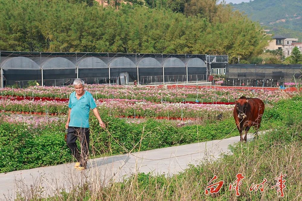 太和镇凭什么叫太和？此地太旺！