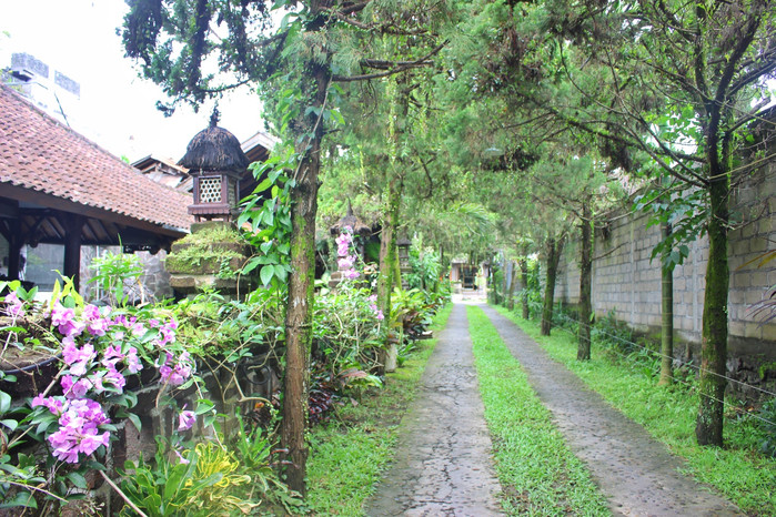 巴厘岛怎么玩省钱又舒服,巴厘岛攻略自由行详细