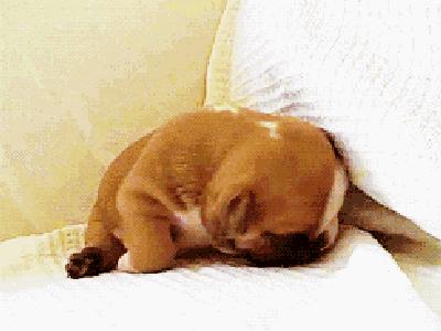 旅游颈椎枕推荐测评,双枕颈椎按摩仪