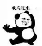 狗狗怀孕后，铲屎官需要必备哪些知识？