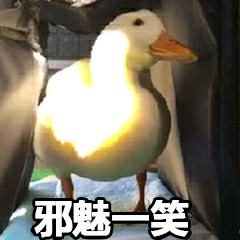 狗狗怀孕后，铲屎官需要必备哪些知识？