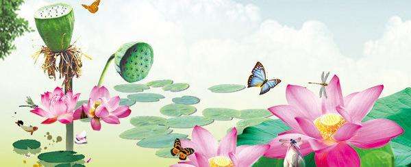 关于荷花古诗词100首,关于荷花的十首古诗词