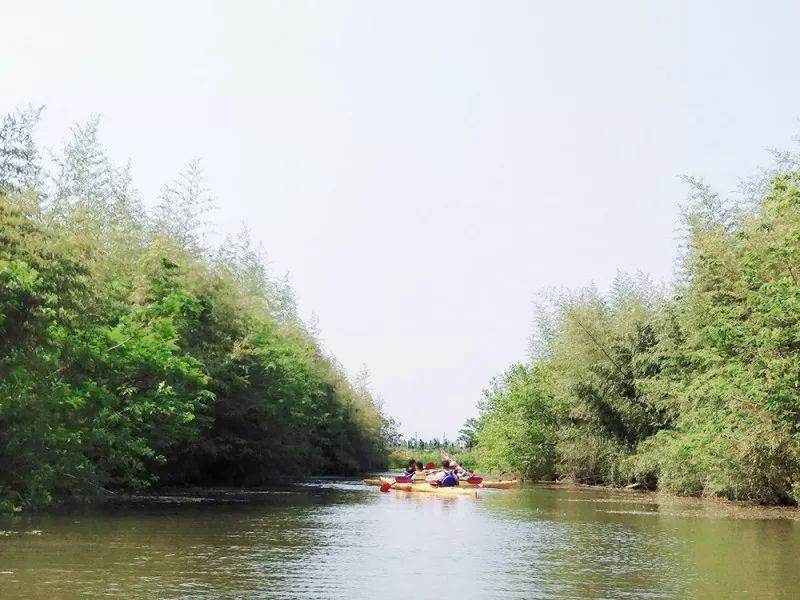 旅行水上运动皮划艇,冲浪水上运动皮划艇图片
