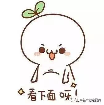 巴布豆童鞋质量抽查,巴布豆童鞋检测不合格