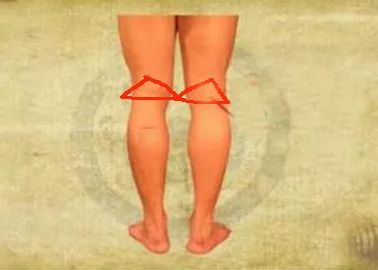 人体九大系统对应的器官,人体黄金三角区是什么