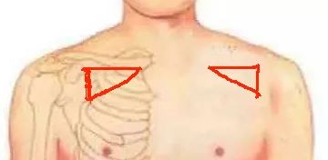 人体九大系统对应的器官,人体黄金三角区是什么