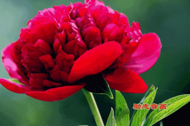 今天6月20日，八句话，送给亲爱的朋友们，写的太好了！