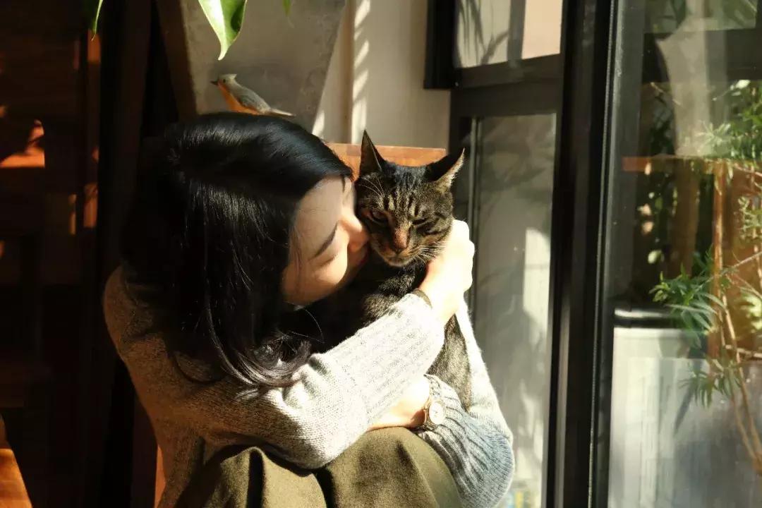 你在过日子,我在“绘生活”|中赫时尚101故事