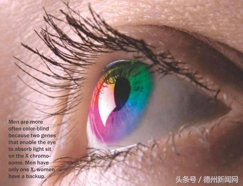 色盲和色弱到底是怎么回事？色觉又是什么意思？