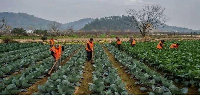 总有一款适合你春耕备耕进行中,现代农业案例分享